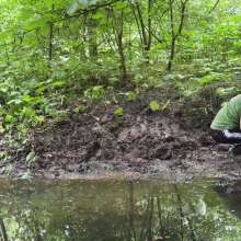 Messy Dogs: Exploring the Sloppy Ditch