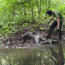 Messy Dogs: Exploring the Sloppy Ditch