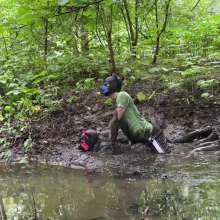 Messy Dogs: Exploring the Sloppy Ditch