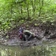 Messy Dogs: Exploring the Sloppy Ditch