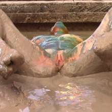 FOXY: Fantastic Mia Paint+mud+wedgie