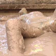 FOXY: Fantastic Mia Paint+mud+wedgie