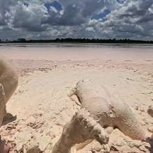 TannerQS: Getting Dicked in Creamy White Mud Ft. Muddylynx