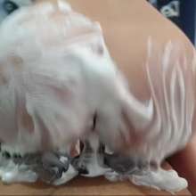 JohnWam: Halloween Special: Messy Ghostface