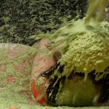 somedude82: Hooters Babe Jasmin Gets Slimed and Strips for Her Review
