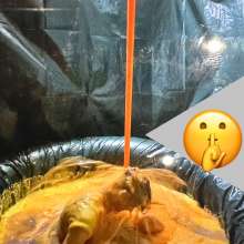 Barefootgunge: 