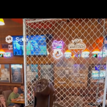 muddyfun17: More Sora 2 Wam