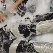 VioletWorld: Capturing the real