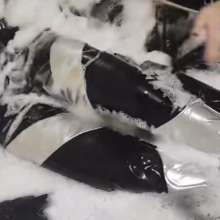 VioletWorld: Capturing the real