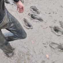 Lola and Lexs Messy Haven: Join Lex for a Tidal Muddy Adventure in Lycra