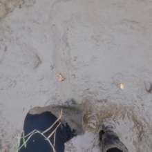 Lola and Lexs Messy Haven: Join Lex for a Tidal Muddy Adventure in Lycra