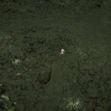 QS4Ever: Lucky Ria in Bottomless Forest Bog