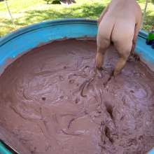 MuddyMcMudd: Luscious Fall Mud Wallow