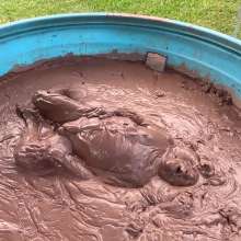 MuddyMcMudd: Luscious Fall Mud Wallow
