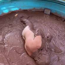 MuddyMcMudd: Luscious Fall Mud Wallow