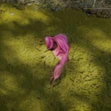 QS4Ever: Mary in Something Hidden Under the Hay