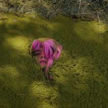QS4Ever: Mary in Something Hidden Under the Hay