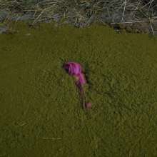 QS4Ever: Mary in Something Hidden Under the Hay