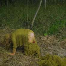 QS4Ever: Mary in Something Hidden Under the Hay