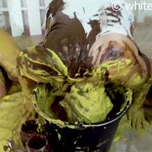 whiteroomberlin: Messy Friends