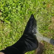 Thefetishgirl: Muddy Socks