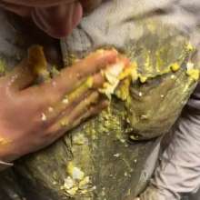 Tech: Pants Filling POV Eggs and Batter + Jeans and Boxer Breifs