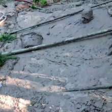 TheGoldenTicket: Pour Pour Pitiful (full of Mud) Me