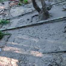 TheGoldenTicket: Pour Pour Pitiful (full of Mud) Me