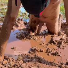 NynoGunge: Puppy Playing in the Bog