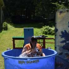 JD and Messy Andi: 6 More Days Till Halloween!