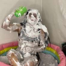 Hikari-Studio-Wam: Sofia Covers Herself in Slime and Cakes.
