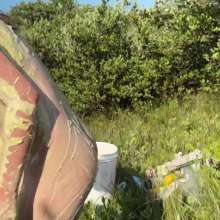 Slimed Models: Temptress Pays Off Scarlett's Challenge