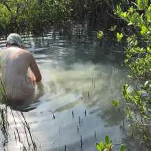 Slimed Models: Temptress Pays Off Scarlett's Challenge