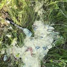 Slimed Models: Temptress Pays Off Scarlett's Challenge