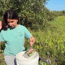 Slimed Models: Temptress Pays Off Scarlett's Challenge
