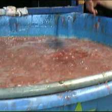 GungeTankBabes: Tori the Tory Dunked in MP Expense's Scandal