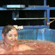 GungeTankBabes: Tori the Tory Dunked in MP Expense's Scandal