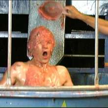 GungeTankBabes: Tori the Tory Dunked in MP Expense's Scandal