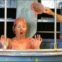 GungeTankBabes: Tori the Tory Dunked in MP Expense's Scandal