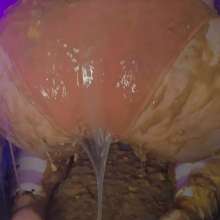 MessyLady_v2: Trash My Ass