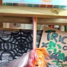 TheGreatSplatsby: Halloween, Stocks and plenty of Gunge!  What's not to love...