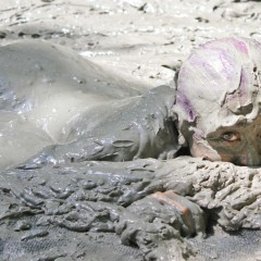 MudBunny: Bubbles!!!!!!