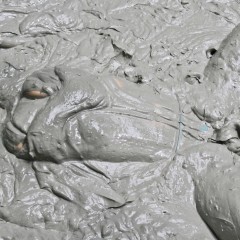 MudBunny: Bubbles!!!!!!