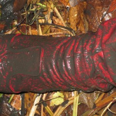 ThighBootsinMud: Walk on a bog in very sexy thigh high red patent leather boots 5,5