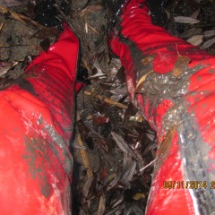 ThighBootsinMud: Walk on a bog in very sexy thigh high red patent leather boots 5,5