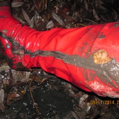 ThighBootsinMud: Walk on a bog in very sexy thigh high red patent leather boots 5,5