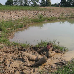 RyuuWammer: New Video: Getting Horny in the mud