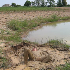 RyuuWammer: Video: Another Visit to the Mud Pond - Even more XXX