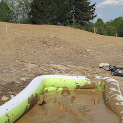 RyuuWammer: Bathing in Mud Pool