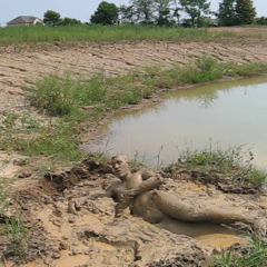 RyuuWammer: Video: Another Visit to the Mud Pond - Even more XXX